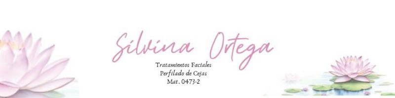 Banner - Silvina Ortega